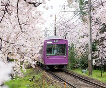 beste reisezeit japan