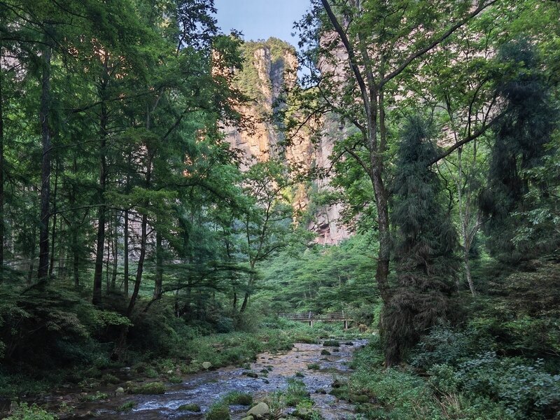 Flusso di frusta d'oro
