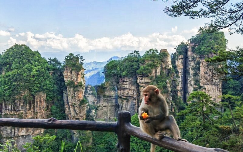 Zhangjiajie Nationalpark