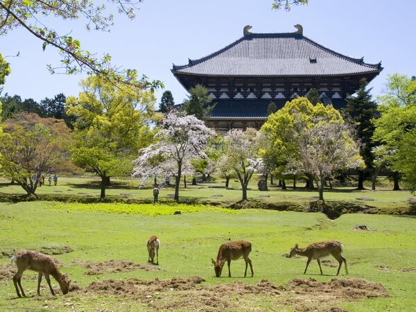 Todaiji Temple