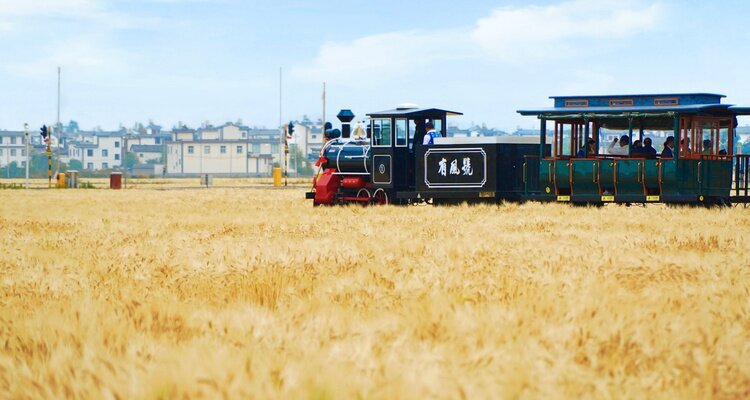 The wheat fields in Xizhou, Dali