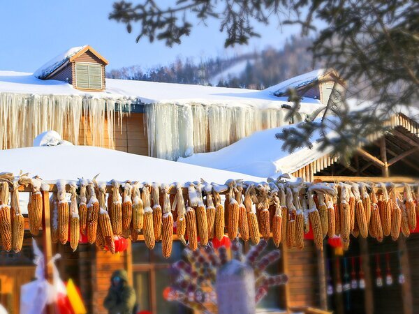 Xuegu (Dongsheng Forestry Farm) tra case innevate e atmosfere rurali del nord-est della Cina