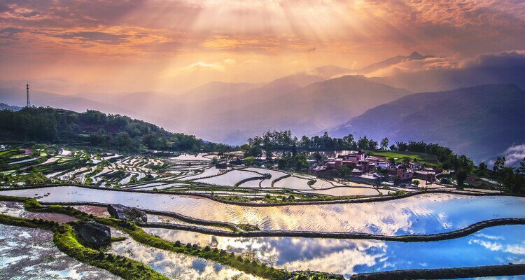 China im Januar - Reisterrassen von Yuanyang