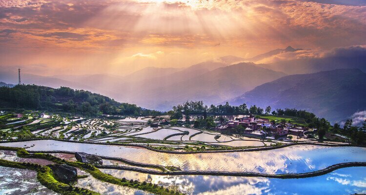 Yuanyang Rice Fields