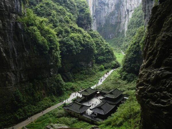 Wulong