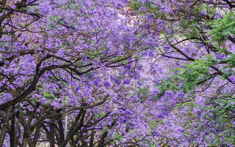 Yunnan Weather in April 2025 and Top 5 Places to Go