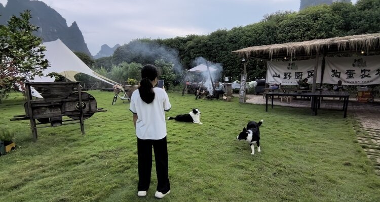 Enjoy an Afternoon Tea and Playing with Animals on a Mini Farm