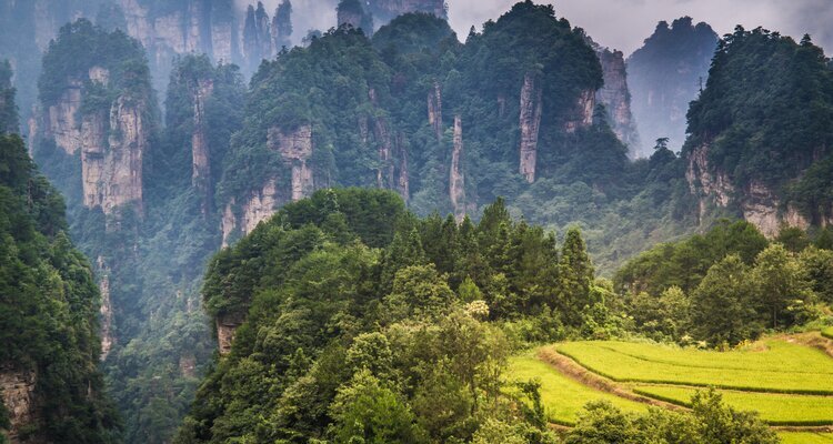 The Sky Farmland in Zhangjiajie National Park