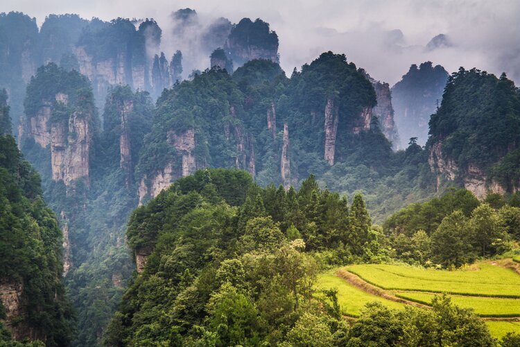 Reisezeit für Zhangjiajie