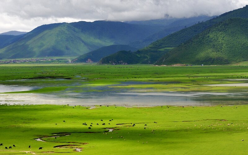 Yunnan Weather in July 2025: Top Places, Crowds, Cost