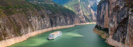 Panda-Volontärsprogramm