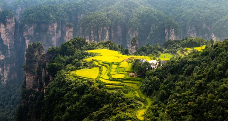 Laowuchang village sky Farmland in spring in Zhangjiajie National Forest Park, Hunan Province, China