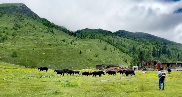 Siguniangshan in summer