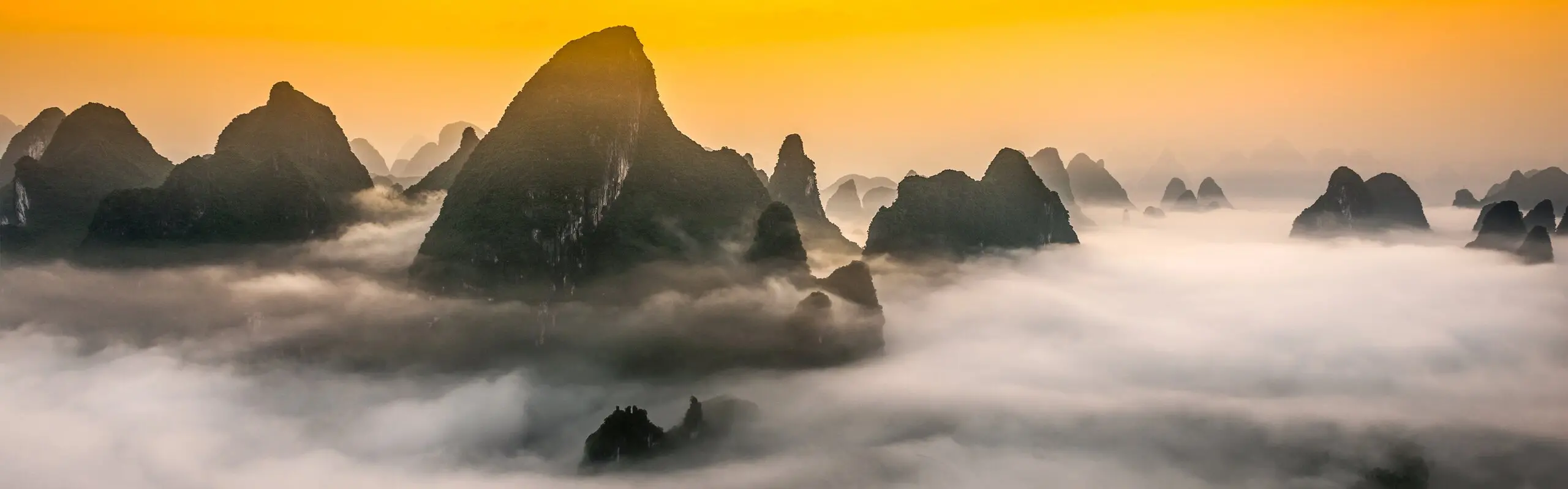 China Nature Tours