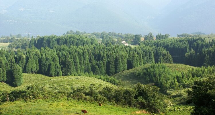 Parque Forestal Nacional Montaña Hada