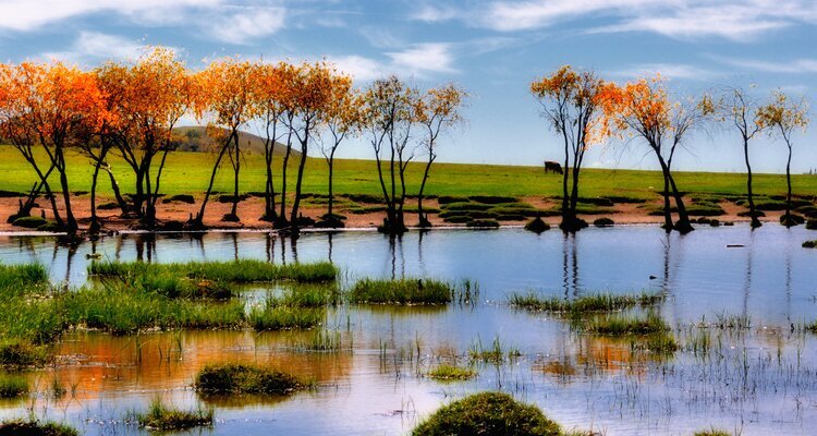 Mulan Hunting Paddock