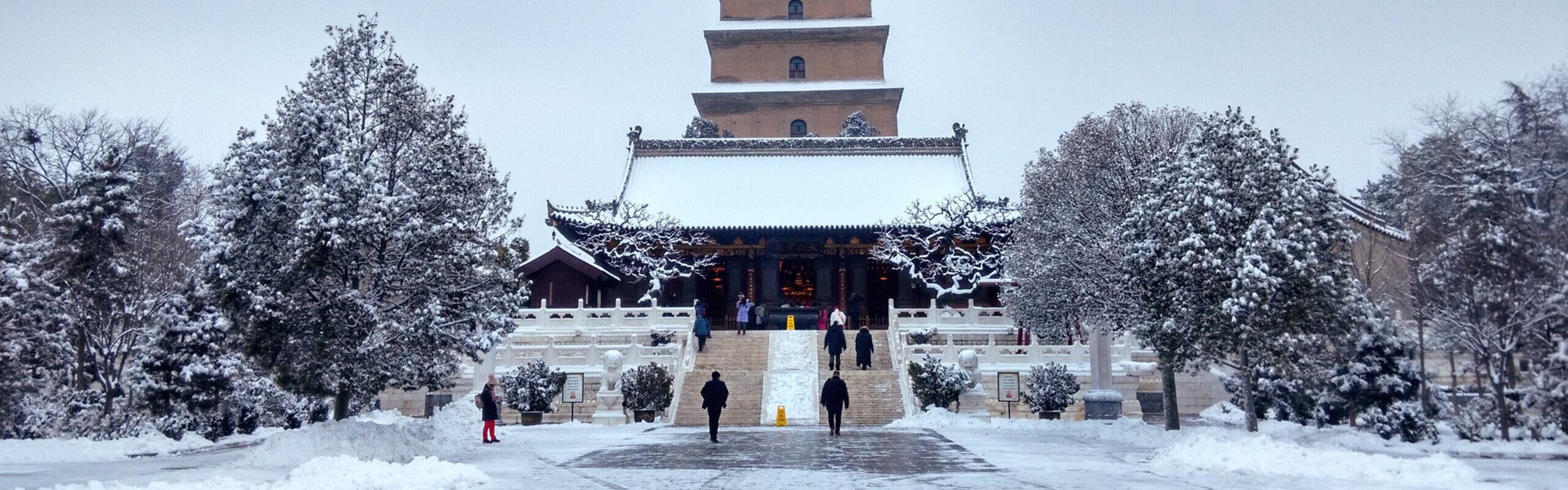 Top 3 City Walks in Xi'an: Picks from a Local Guide