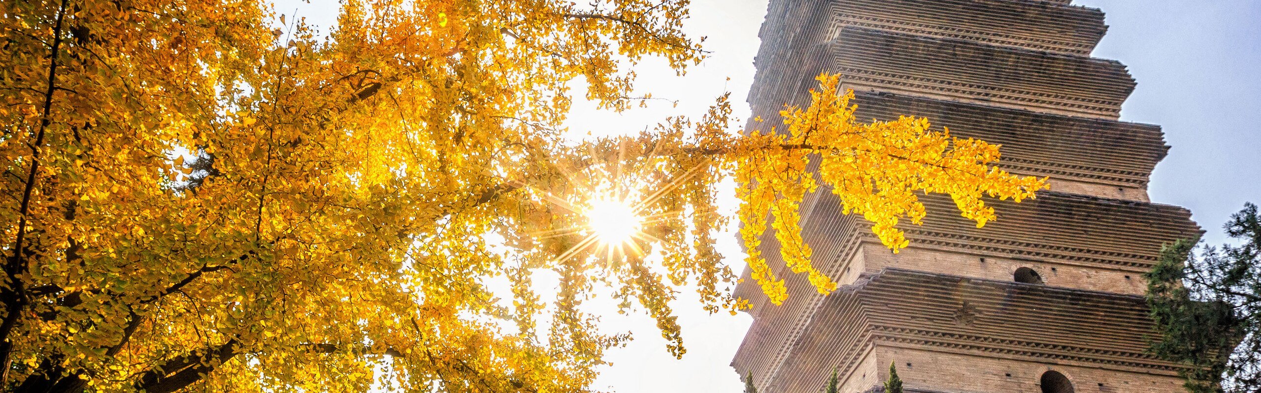 Xi'an Weather in November 2026: Where to Enjoy the Autumn Colors