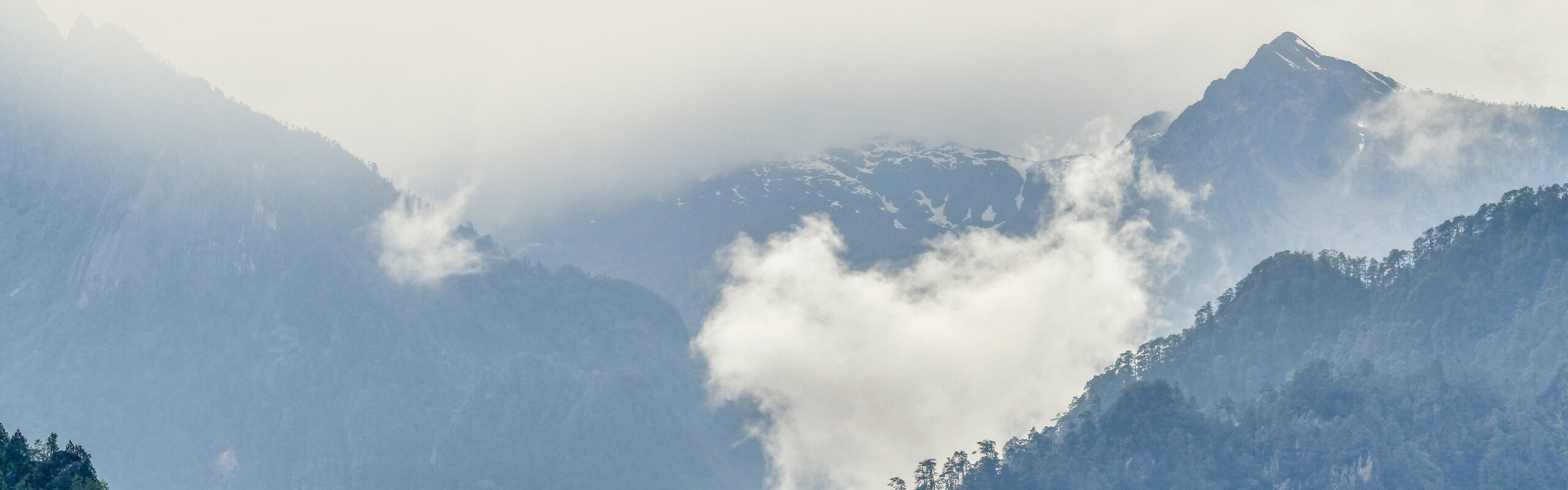 Yunnan's Gaoligong Mountain: a Hiking Trip in Pristine Nature