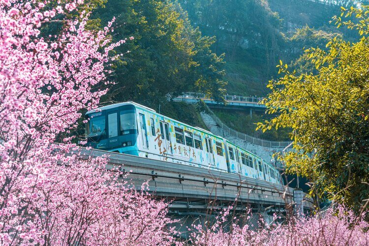 Парк Наньшань в Чунцине