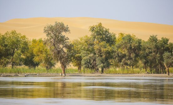 Désert du Taklamakan