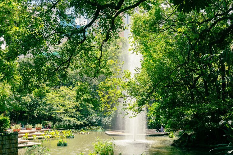 Kowloon Park