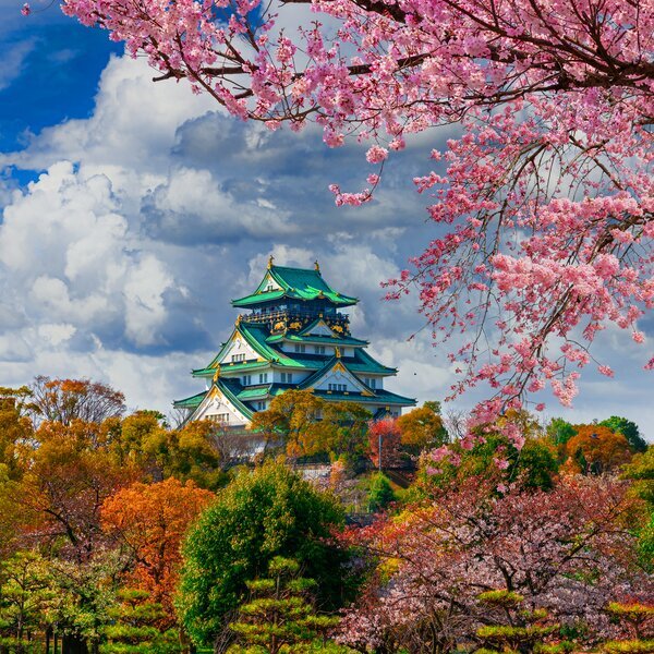 osaka castle