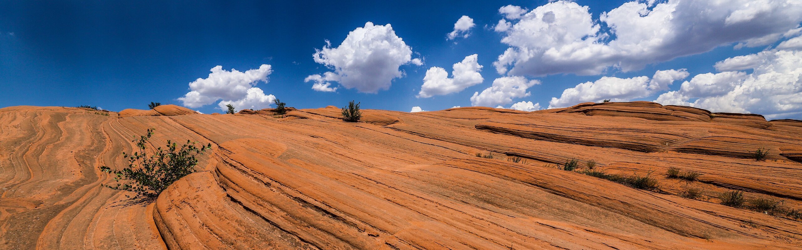 Xi'an Weather in May 2026: Travel Tips 