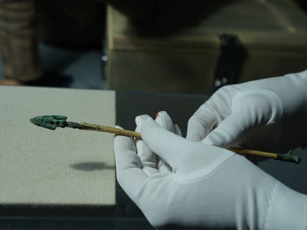 Armée de terre cuite