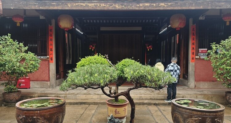 Son-in-Law Xu's Mansion