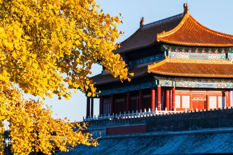 Запретный город — красивое место для съёмок в традиционной одежде.