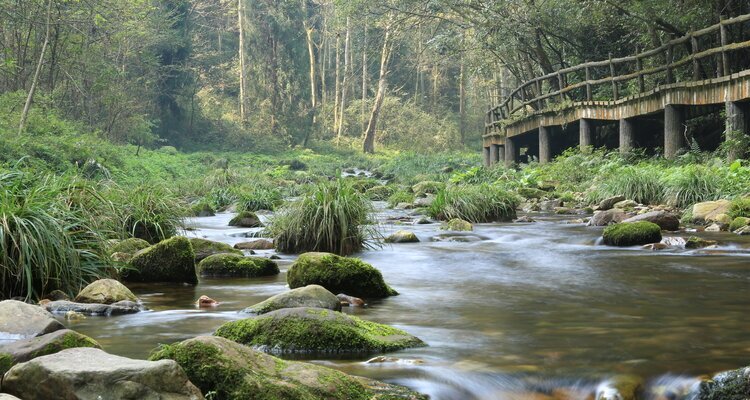 Zhangjiajie National Forest Park, Golden Whip Stream