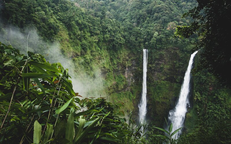 Bolaven-Plateau