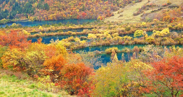 Lago Shuzhengqunhai en Jiuzhaigou, en otoño