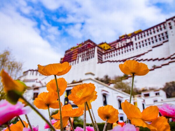 Potala-Palast