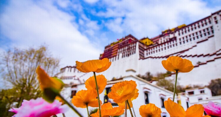 potala palace