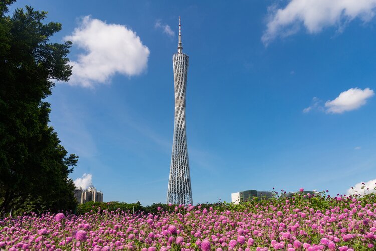 Башня Гуанчжоу и цветы