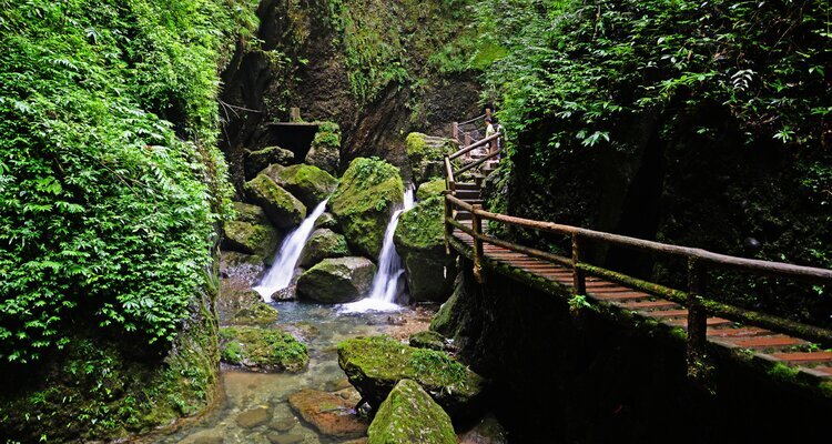 Mount Qingcheng, hike across the plank walkway