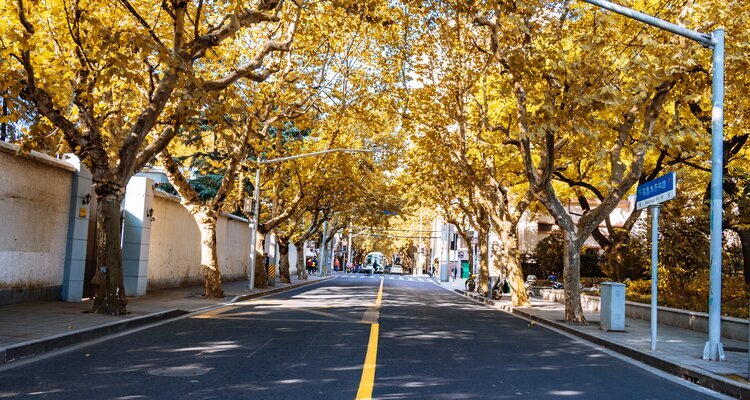 Shanghai Wukang Road