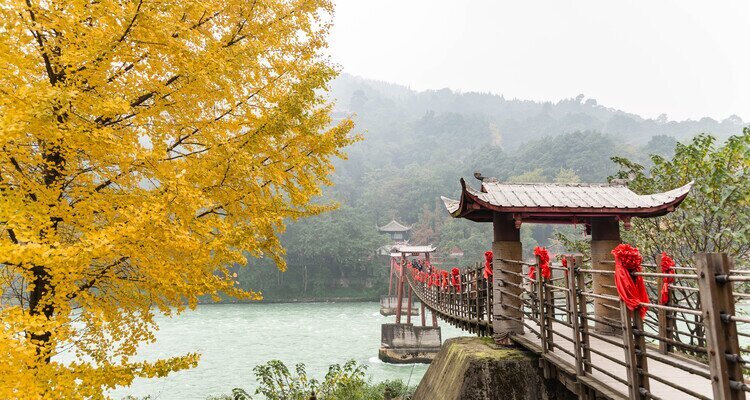 Dujiangyan with gingko trees