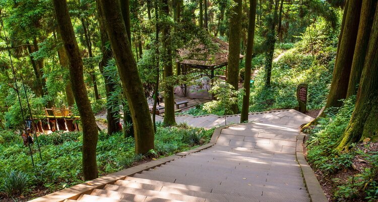 Hiking trail at the front mountain of Mount Qingcheng