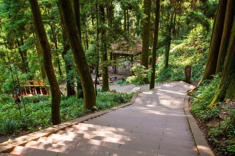 成都旅行　青城山の夏景色