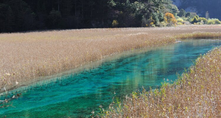Reed Lake in Jiuzhaigou