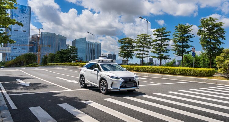 PonyPilot driverless taxi