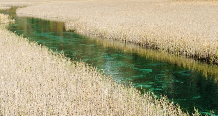 Reed Lake in Jiuzhaigou