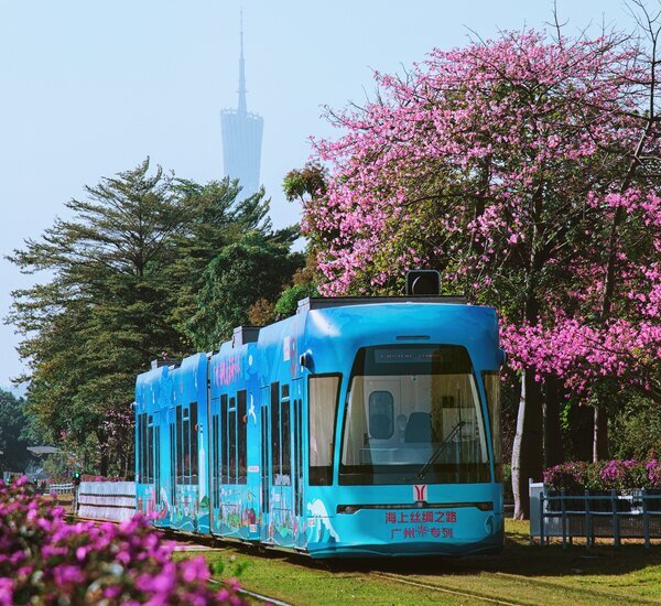 4-Day Guangzhou, Qingyuan and Foshan Spring Blossoms Discovery Tour