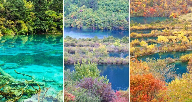 Forest color changes in Jiuzhaigou from early to mid to late October