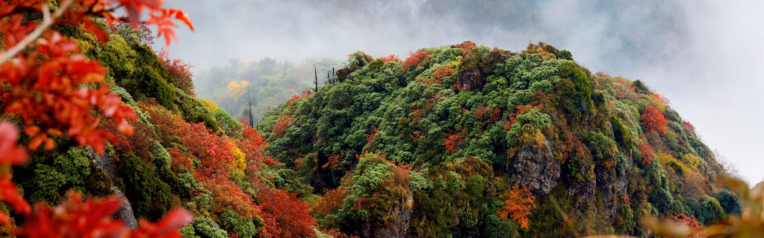 Chengdu Weather in October 2026: Travel Tips