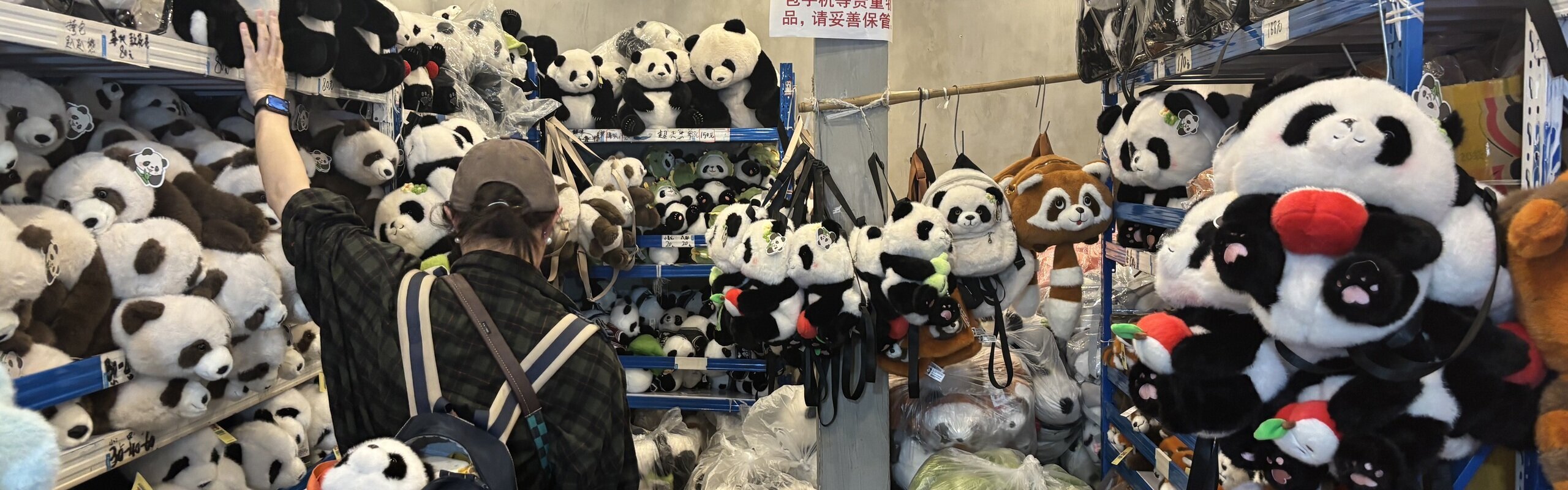 Xi'an - Chengdu High-Speed Trains 