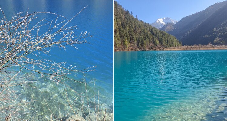 The peach blossoms were about to&nbsp;bloom in Tiger Lake when we went